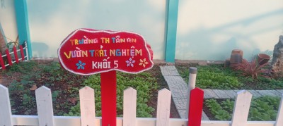 Yêu sao khu “Vườn trải nghiệm” trường em – Trường Tiểu học Tân An.