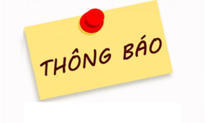 Hướng dẫn triển khai khung năng lực số cho học sinh phổ thông