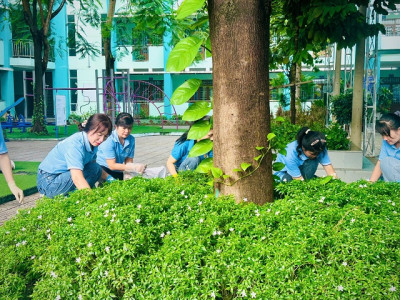 Trường Tiểu học Tân An triển khai chiến dịch tổng vệ sinh môi trường, diệt lăng quăng, diệt muỗi phòng, chống dịch bệnh năm 2026