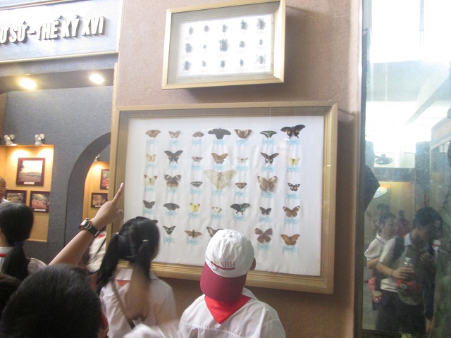 IMG 2782 640x480