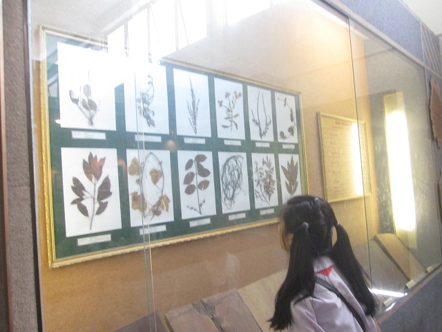 IMG 2783 640x480